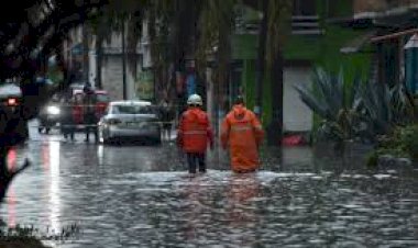 Inundaciones pulpa de la negligencia