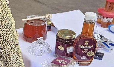 Apicultores yucatecos cuestionan programa “Miel del Bienestar”