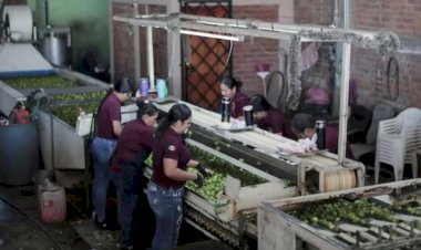 Cae actividad industrial en Quintana Roo