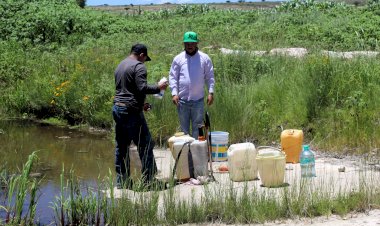 Plagas, sequía y gobierno omiso arriesgan producción en Zacatecas