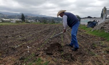 El desastre agrícola en México causado por el neoliberalismo