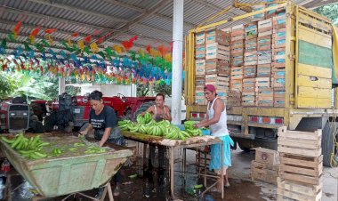 Canícula mata de hambre a productores de Veracruz