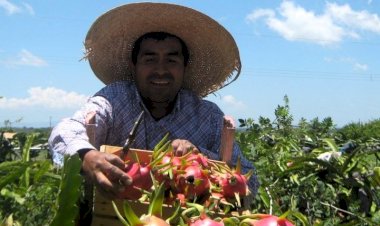Gracias ITA No.32, alma mater de ingenieros agrónomos