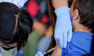 11 mil niños en Nuevo León, sin vacuna contra tuberculosis: Salud