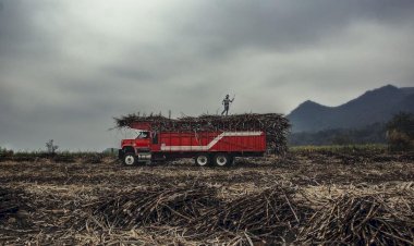 EL campo en el abandono