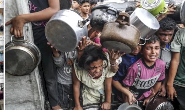 Palestina: la explicación oficial del genocidio
