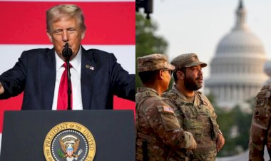 Estados Unidos: ciudades en zona de guerra