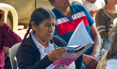 Ante la falta de argumentos, el insulto y la mentira