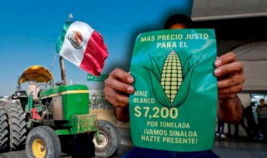 Políticamente apreciable, pero económicamente incorrecto