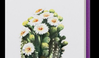 Las flores del desierto