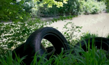 REPORTAJE | Crisis ambiental en Guanajuato pone en riesgo la vida de seres humanos