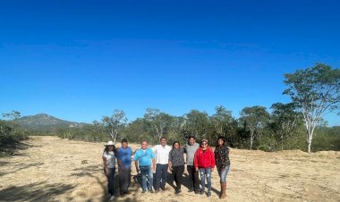 Avanza entrega de terrenos a familias antorchistas en Los Cabos