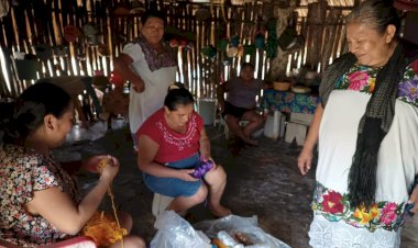 Abandono gubernamental golpea a familias humildes de Valladolid