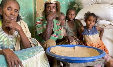 Falta de granos y crisis alimentaria en México