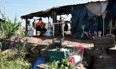 Pega cuesta de enero a familias rurales en El Fuerte