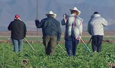 Presupuesto público: botín político y no herramienta social