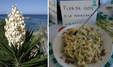 CRÓNICA | Camino de espinas y flores blancas