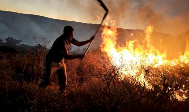 Los incendios forestales y la responsabilidad ciudadana