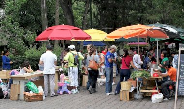 Empleo informal y pobreza laboral: retos estructurales de Hidalgo