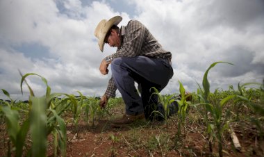 El desarrollo del capitalismo mexicano y la lucha organizada