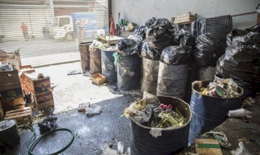 Antorcha exige políticas públicas contra daño ambiental en Jalisco