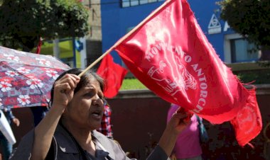 Derecho a las utilidades, letra muerta: Antorcha