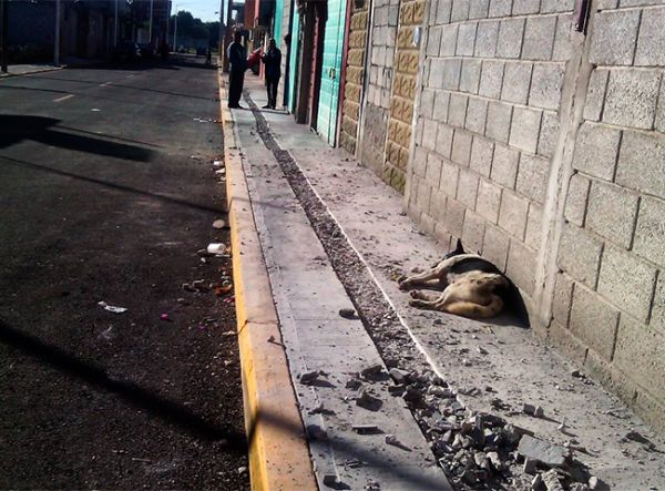 sdfghjk